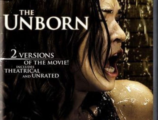 Cerita Horor Saudara Kembar dalam Cermin dalam Film The Unborn 2009 Cerita Horor Saudara Kembar dalam Cermin dalam Film The Unborn 2009