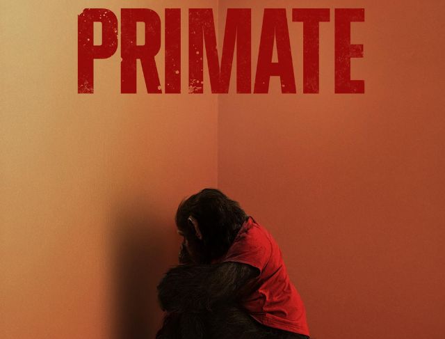 Cerita Teror Mematikan Simpanse Rabies Mengamuk Film Primate 2026 Cerita Teror Mematikan Simpanse Rabies Mengamuk Film Primate 2026
